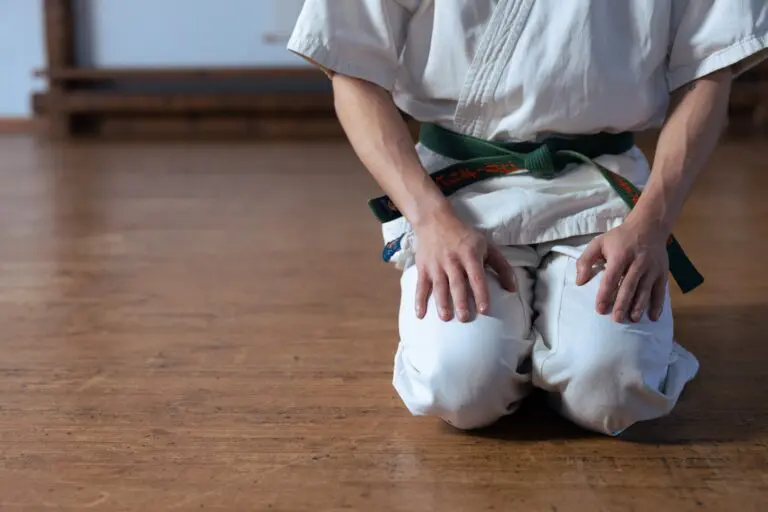Adult Karate Classes in Glendale Heights